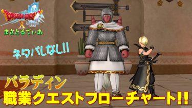 【ドラクエ10】パラディン職業クエスト攻略フロー！初心者安心ネタバレなし！HPと守備力の為にやるべし【DQ10】