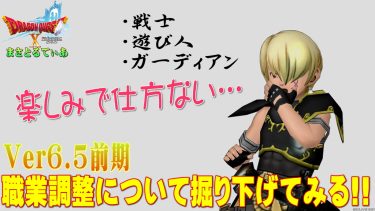 【ドラクエ10】Ver6.5前期の職業調整！戦士・遊び人・ガーディアンどれが当たり調整なのか掘り下げていく【DQ10】