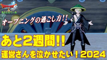 【ドラクエ10】運営さんを泣かせたい！2024オープニングの過ごし方解説！緊張せずに安心して来てくださいね【DQ10】