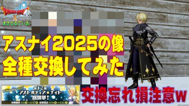 【ドラクエ10】第12回アスナイ総選挙ナイト交換券2025を全キャラ交換したので公開します！入手優先度やおすすめの像は？【DQ10】