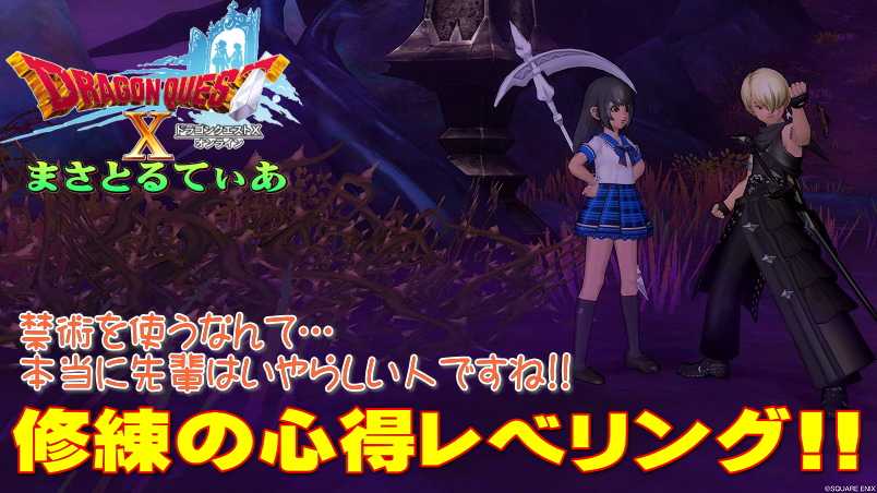 【ドラクエ10】禁術！修練の心得＆料理＆元気玉レベル上げ！ダークトロルでそれぞれの獲得経験値を確認計算した結果…【DQ10】