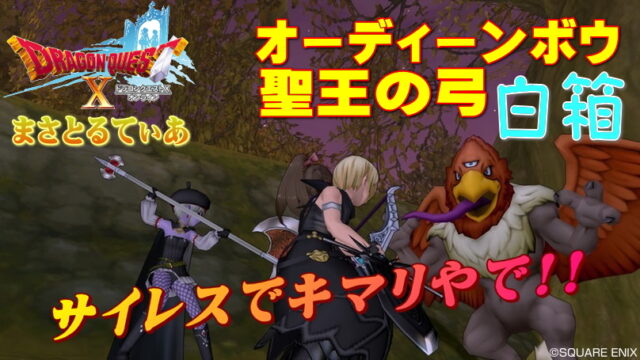【ドラクエ10】聖王の弓＆オーディーンボウ白箱はサイレスだけ！おすすめ狩場紹介【DQ10】