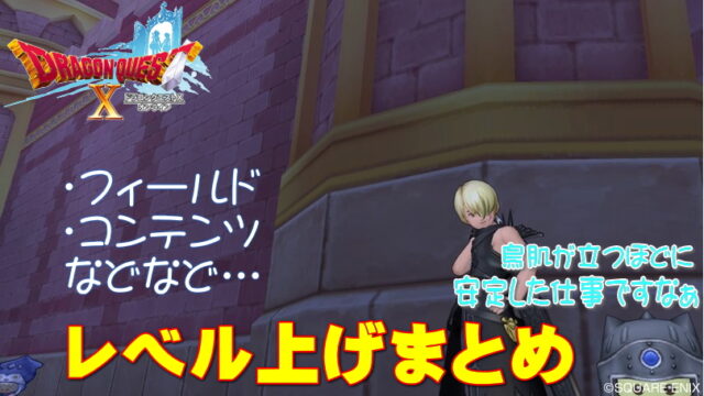 【ドラクエ10】レベル上げ永久保存版！各コンテンツ他アイテムや料理の選び方まとめ【DQ10】